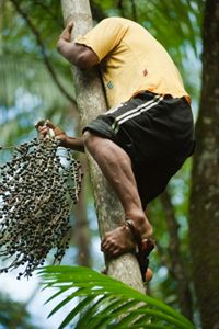 on the expansive Oiapaque indigenous region in the Amazon region of Brazil.         