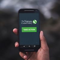 hand holding smart phone showing the nature conservancy logo with a green "take action" button centered under logo