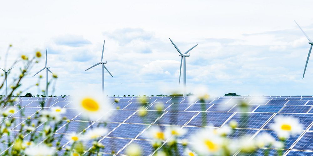 Wind turbines tower above rows of solar panels with out of focus flowers in the foreground.