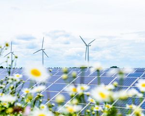 Windmills stand behind a large array of solar panels on a Midwest landscape surrounded by flowers.