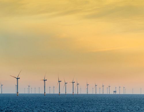 An offshore windfarm against a yellow sky