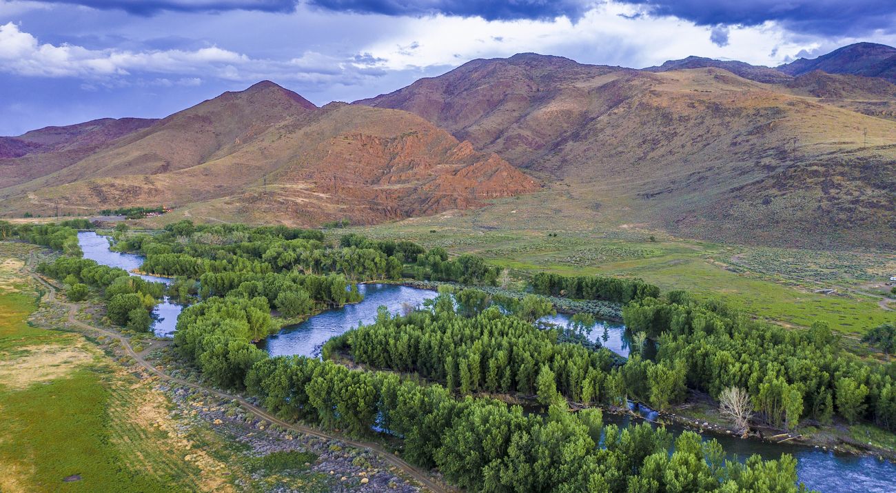 Aerial view of the Truckee River flowing between cottonwoods with mountains in the background.