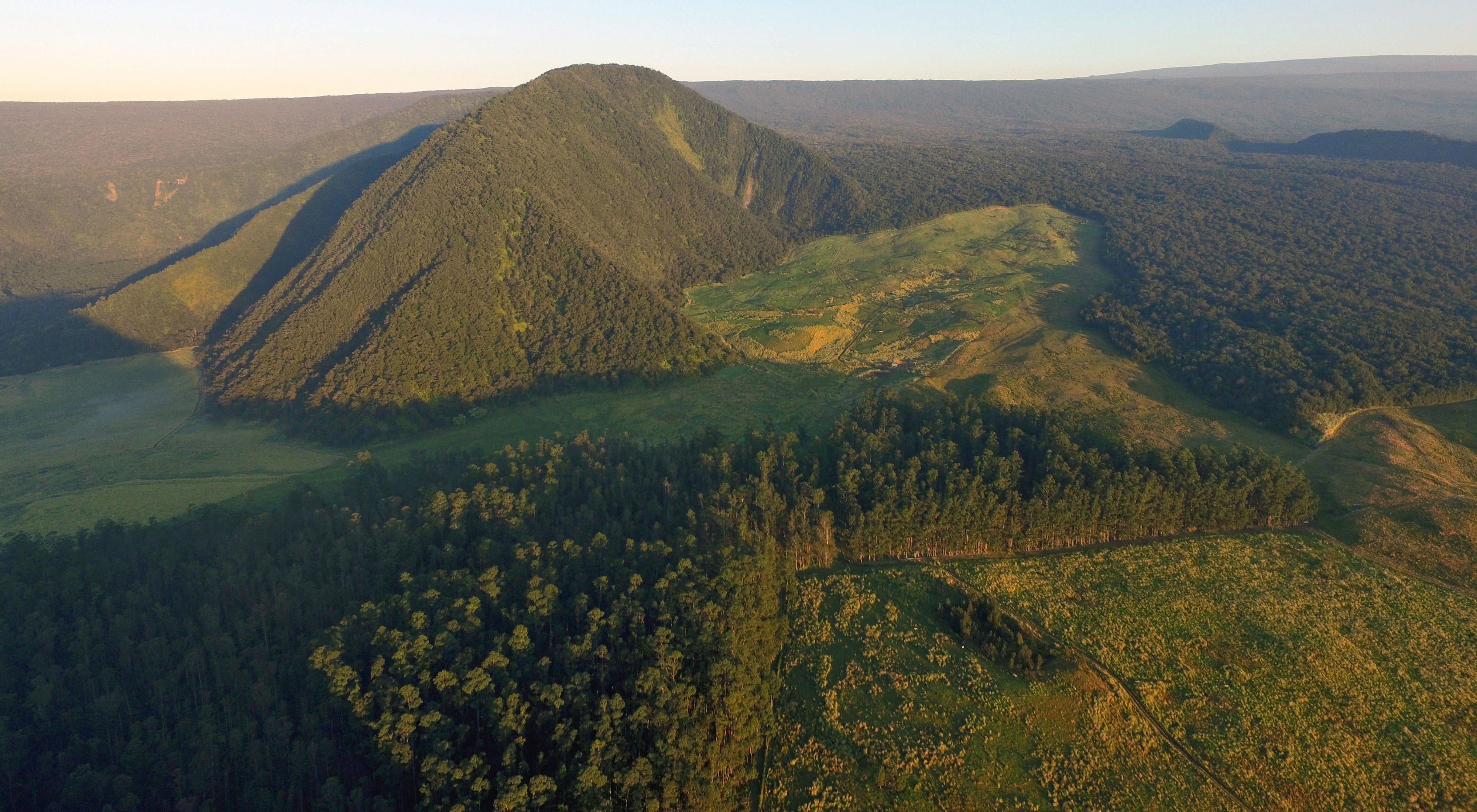Aerial view of forested slopes and a valley with clearings.
