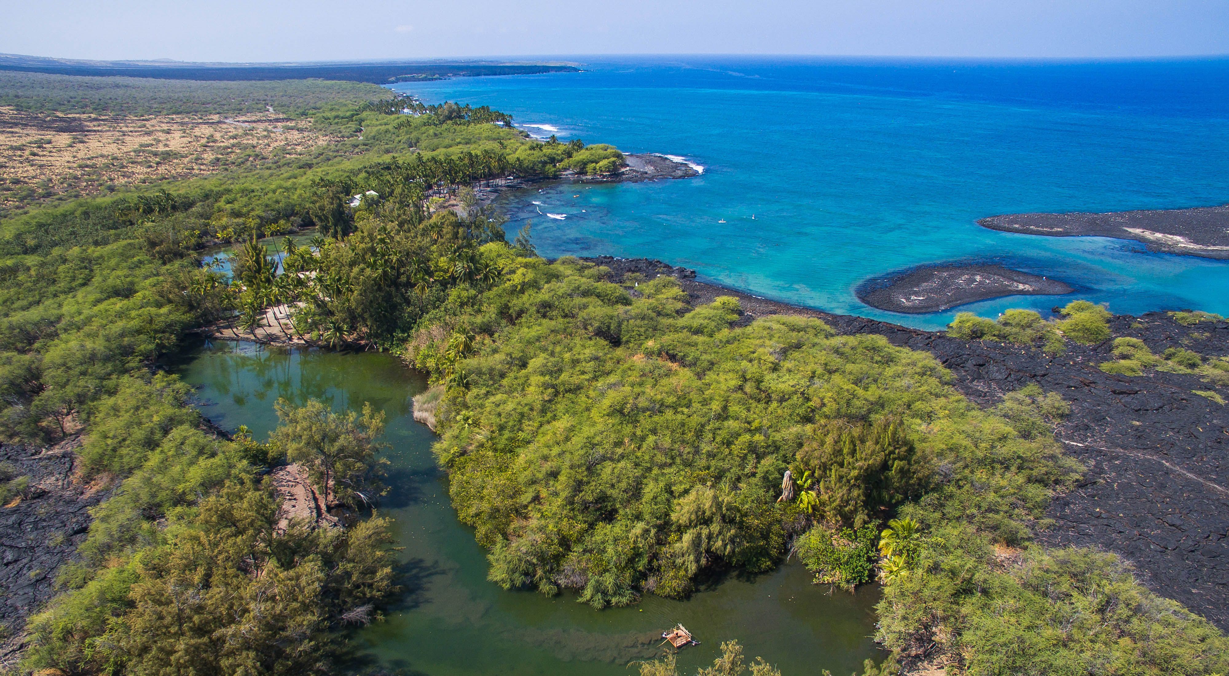 Aerial view of a fishpond surrounded by woodland next to a coastline and deep blue ocean.