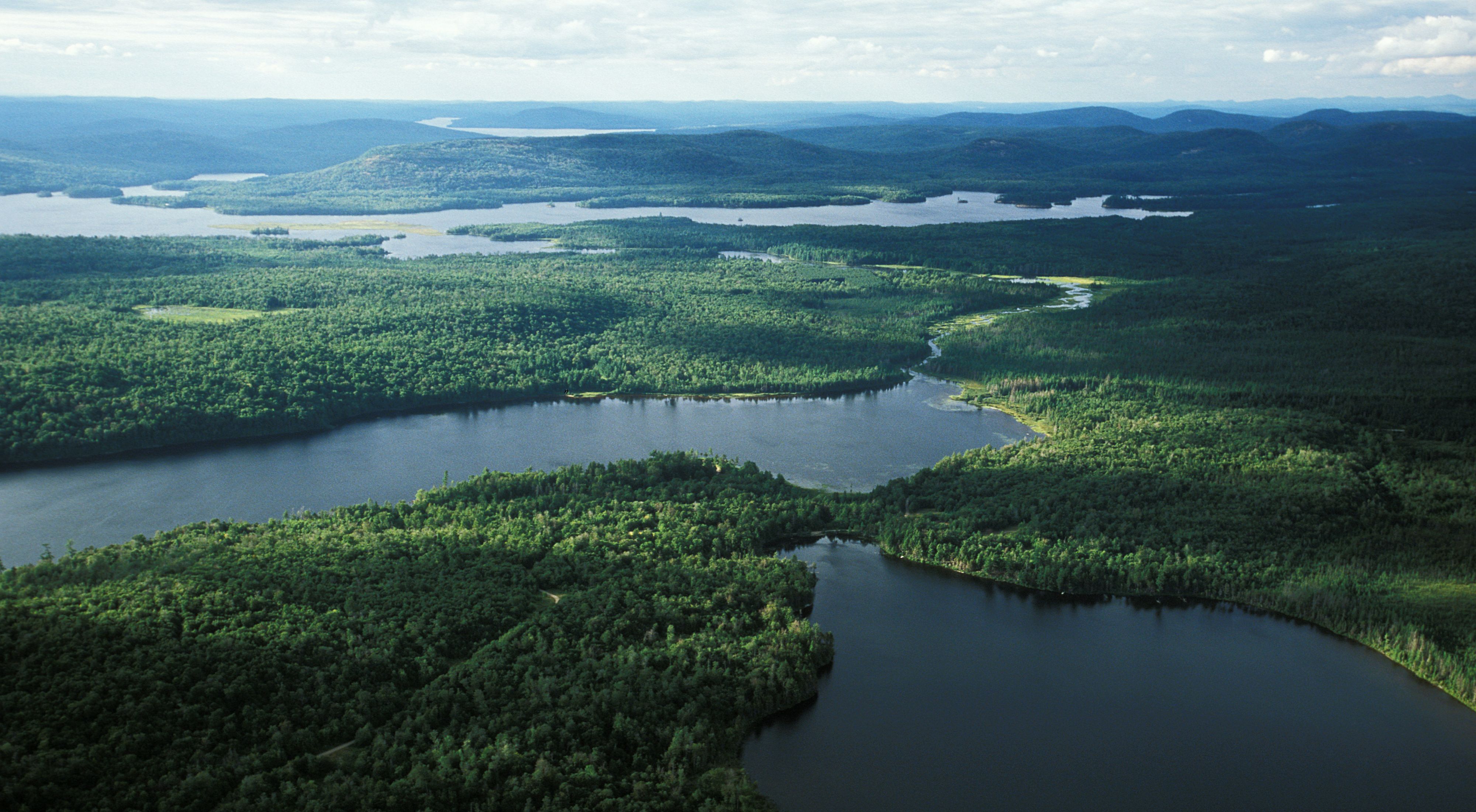 Aerial view looking towards the northwest showing Clear Pond in lower right, Bog Lake in the center and Low's lake beyond in the Adirondack State Park, New York. 