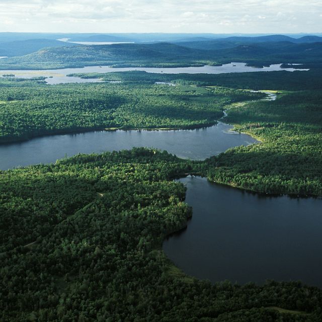Aerial view looking towards the northwest showing Clear Pond in lower right, Bog Lake in the center and Low's lake beyond in the Adirondack State Park, New York.