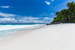 a powder white sand beach meets a bright blue ocean on a sunny day. Lush green palm trees are in the background.