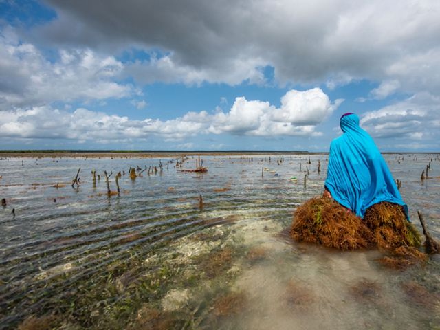 Siti Ali Saidi is a champion farmer who has finished the first installment of all 32 farm lines with Double Made Loops on her seaweed plot in Tumbe.