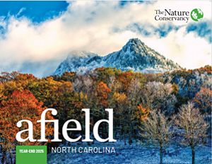 Cover of the newsletter with Grandfather Mountain in late fall.