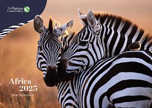 Two plains zebras featured on the cover of the 2025 Africa Year in Review.