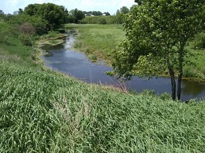 Beautiful green oxbow wetland after construction.