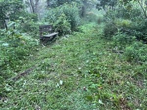 A rustic wood bench is revealed after a mass of overgrown vegetation has been cut back along a trail on Warm Springs Mountain Preserve.