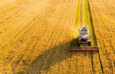 Combine harvester in field