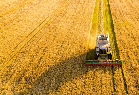Tractor in a field.