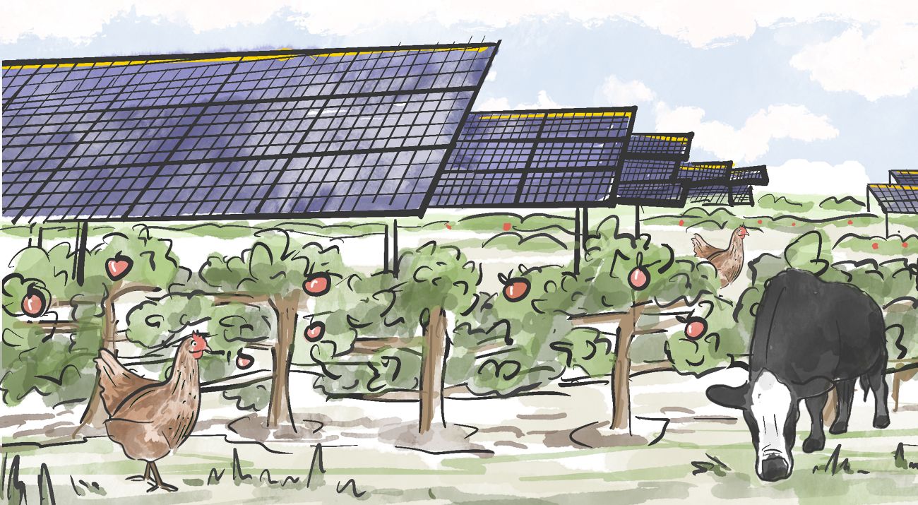 A drawing features apples and animals existing under solar panels.