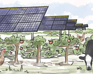 An illustration of animals, an orchard against solar panels.