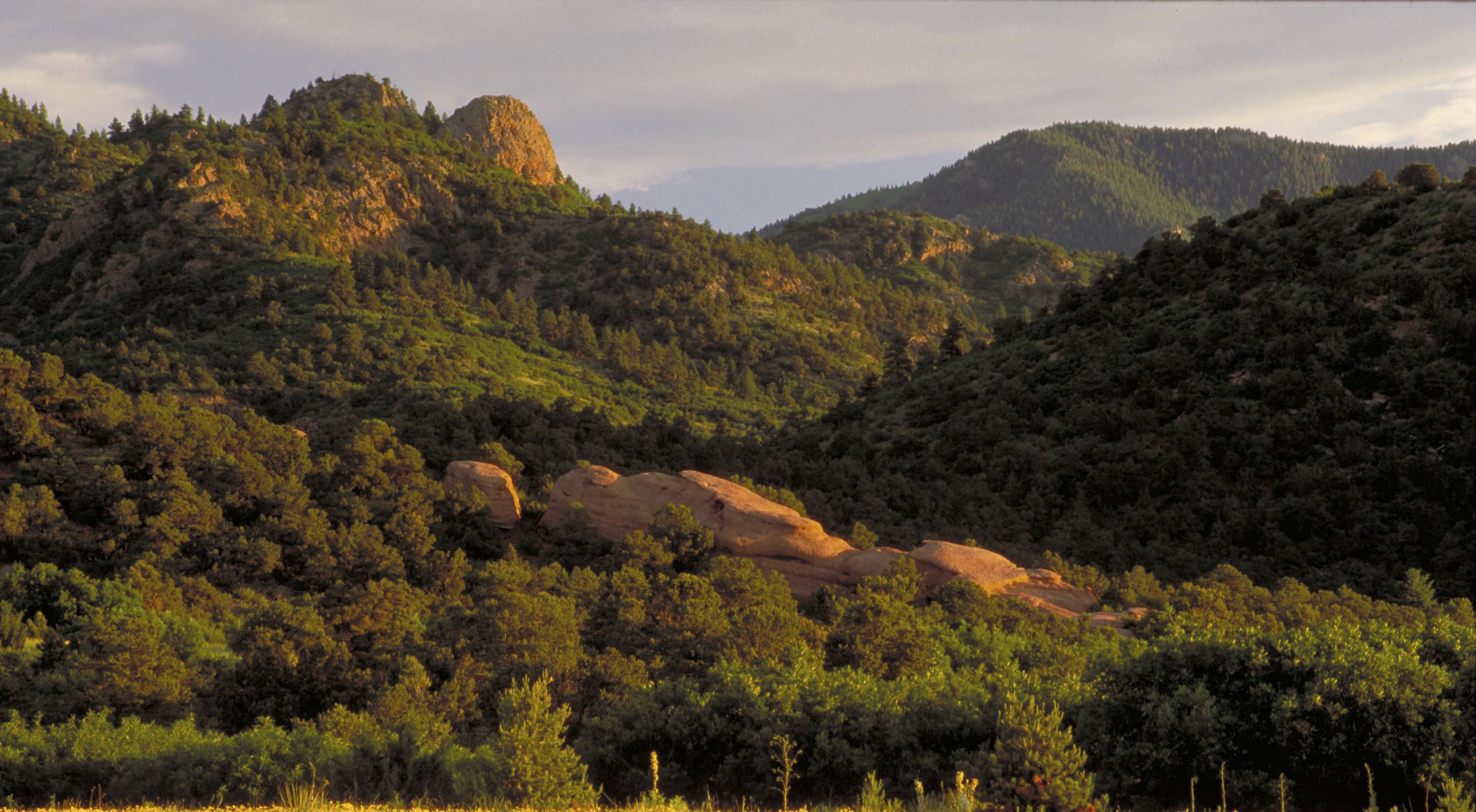Rocky hills covered in green trees at Aiken Canyon Preserve in Colorado.