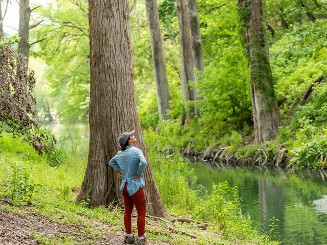 A woman stands beside a thick tree trunk gazing at clear waters.
