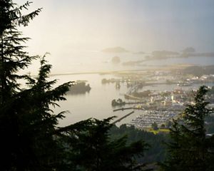 A coastal town from the view of an overlook with trees in the foreground.
