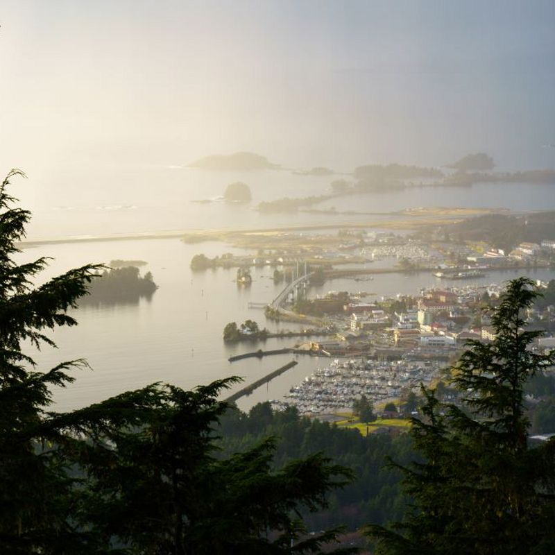 A coastal town from the view of an overlook with trees in the foreground.