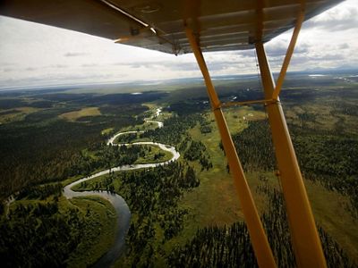 View of a winding river surrounded by pristine wilderness viewed from the seat of a small plane.