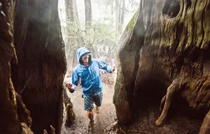 Exploring a hollowed bald cypress on the Black River in North Carolina.