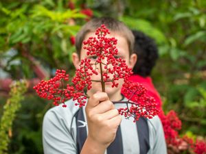 Child holding red elderberry branch in front of their face.