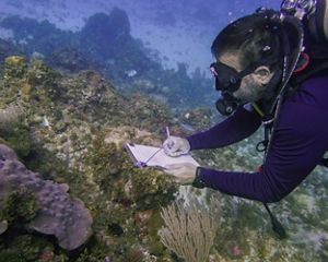a man scuba diving and taking notes