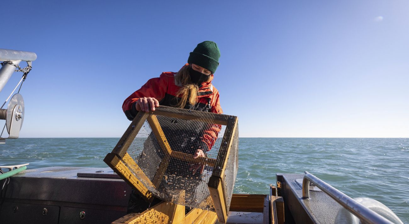 A researcher aboard a boat holds a large mesh cage