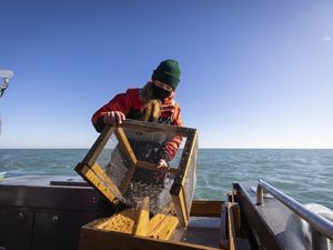 A researcher on a boat holds a mesh cage