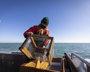 A researcher on a boat holds a mesh cage
