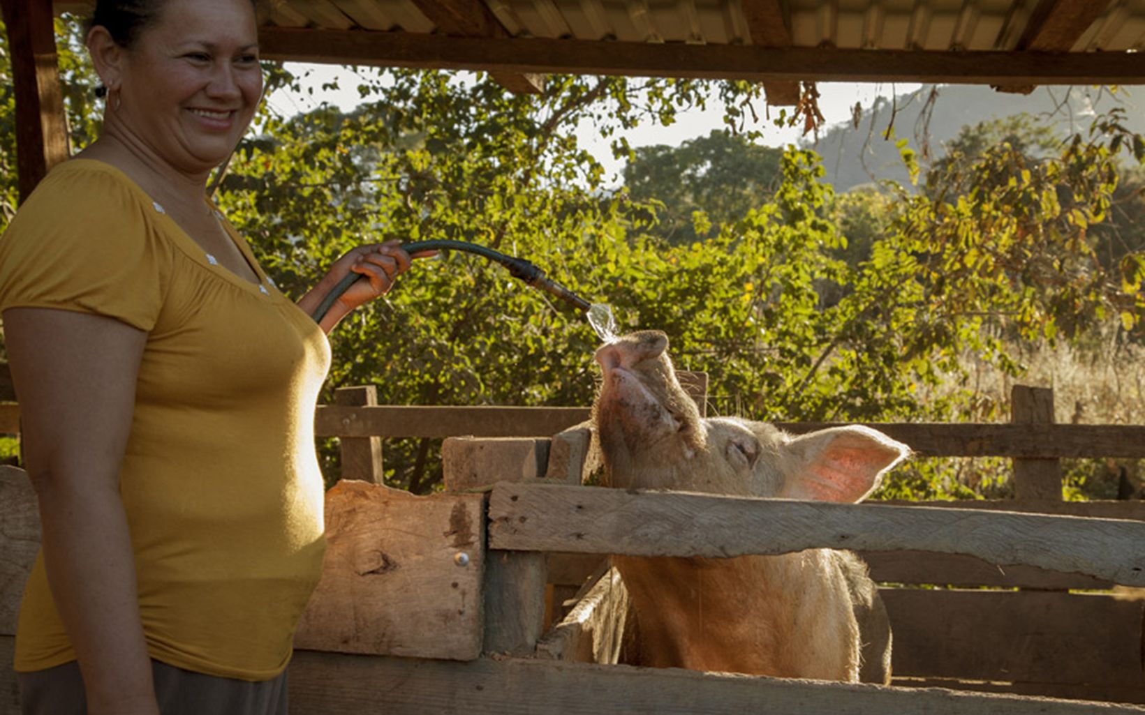 Altra Gracia, México La ganadería no es una actividad aislada y las contribuciones de todos los miembros de la familia son fundamentales para la cadena de valor del ganado. Fotografía  © Santiago Torres