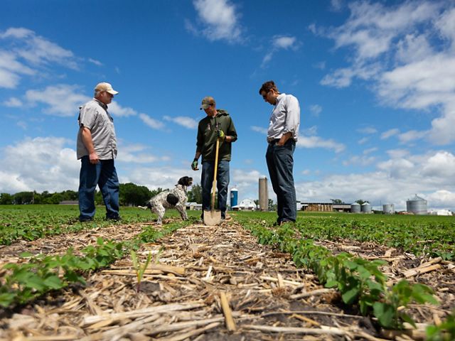 Three ag professionals standing in a no-till and cover cropped farm field, with a happy dog jumping for pets.