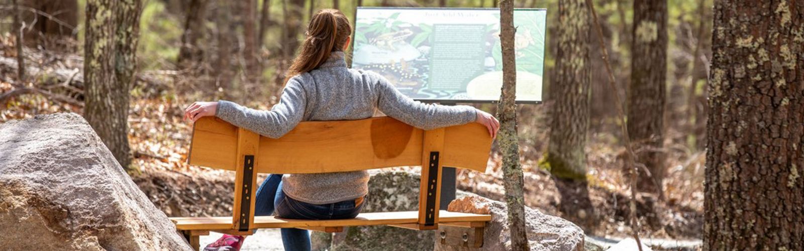 View from behind of a woman resting on a bench in the forest and looking at an informational sign.