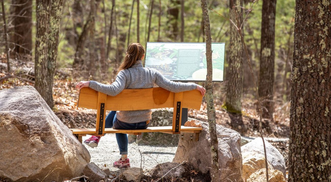 A woman resting on a bench in the woods.