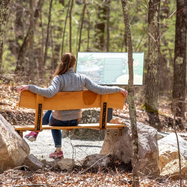 A woman sits on a wooden bench in the woods. She looks out over an interpretive panel and a vernal pool.