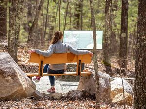 A woman sits on a bench looking out into the woods.