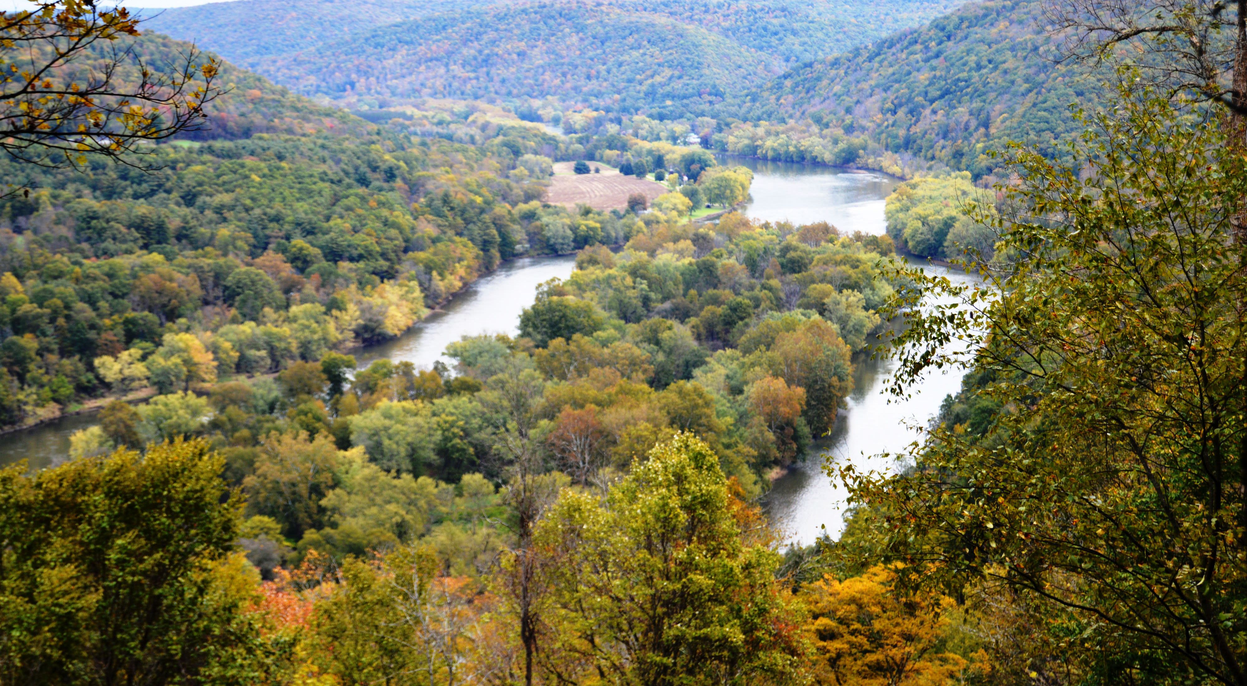 A river forks around a short tree-covered isthmus before rejoining and curving to the left and out of sight. The land is covered with trees in fall foliage, sloping up and away from the river.