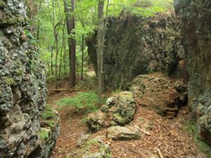 Altamaha cliff formation at TNC's Broxton Rocks Preserve.