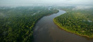 A calm river flows through a densely forested landscape.