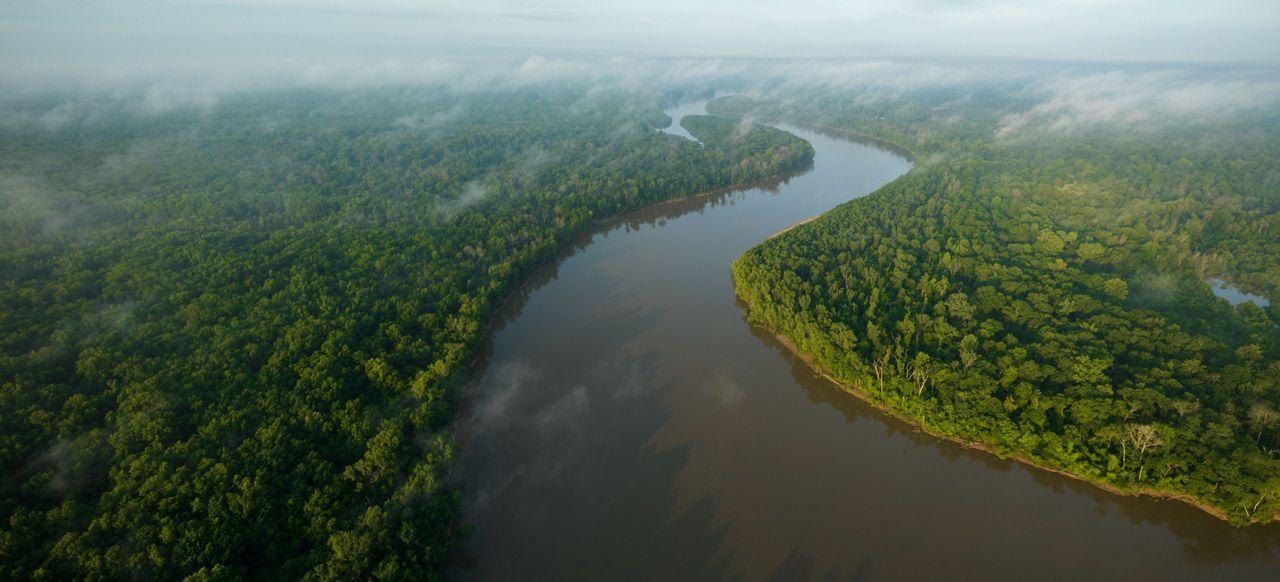 Healthy Alabama Waters