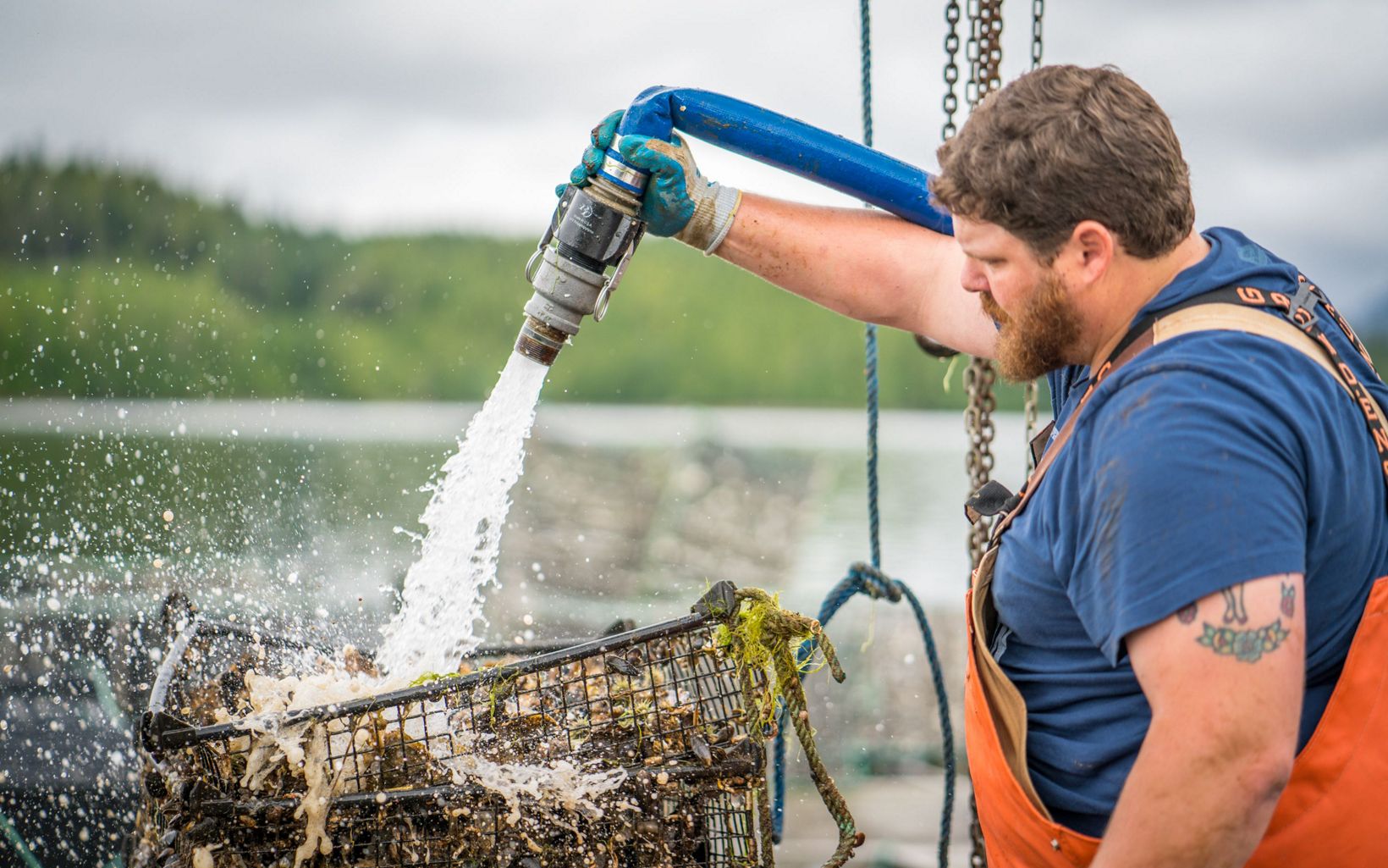 Greg McMillan Farming oysters in the protected waters of Prince of Wales Island © Bethany Goodrich
