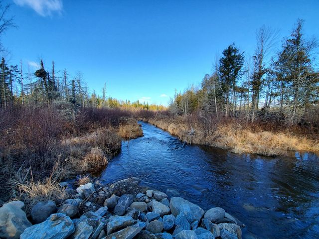 A stream flows away into a wetland area under a blue sky.