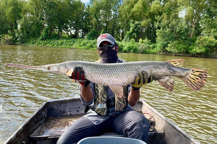 A man wearing a hat sits in a boat and holds a large fish.