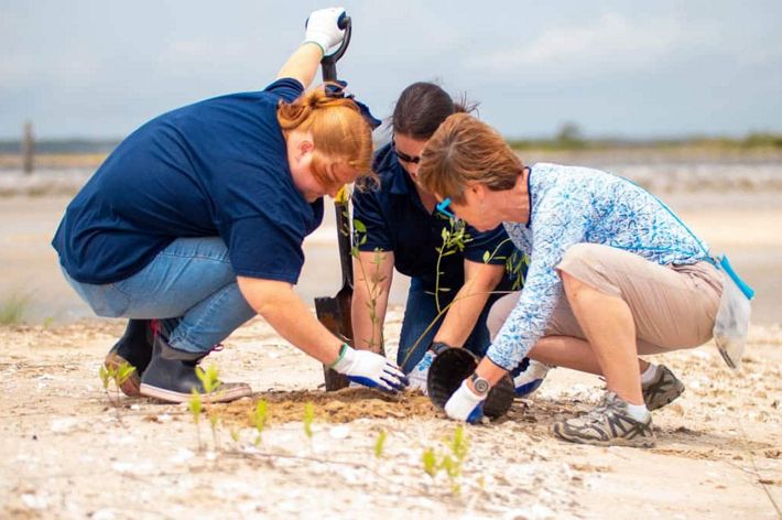 Three young people dig and plant in the sand.