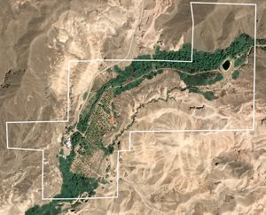 Satellite image of a date farm along a riparian area in the Amargosa Desert in California. 