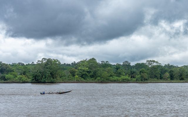 Canoa navega en el rio Orteguaza, tupido bosque amazónico sobre la orilla.
