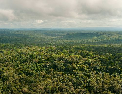 An aerial view of a portion of the remaining Amazon rainforest at São Félix do Xingu, a municipality that has one of the highest rates of deforestation in the country.