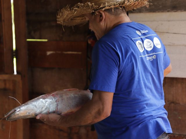 Foto de un hombre en un mercado de pescado sosteniendo un gran bagre dorado en sus manos. El hombre lleva un sombrero de paja y está de espaldas a la cámara.