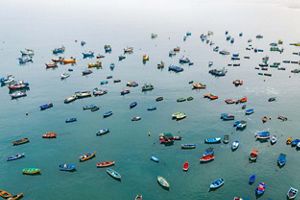 Colorful small boats are anchored in calm water.